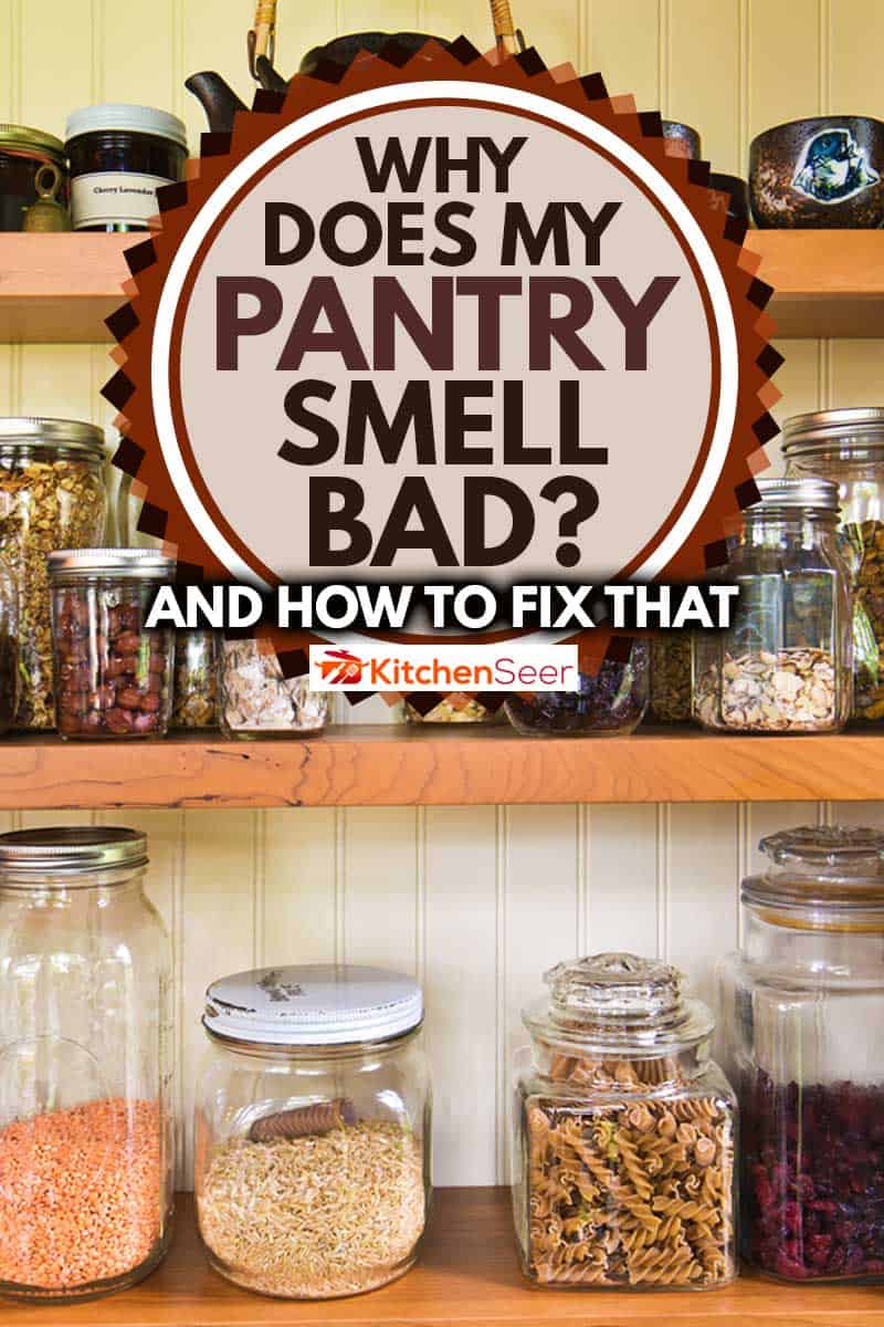 当代经典的厨房翻新改造，设有储藏室存储架和枫木雷电竞官网网址橱柜，为什么我的储藏室闻起来很糟糕?[以及如何解决这个问题]