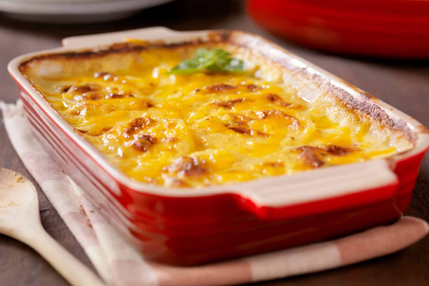 陶瓷盘与奶油乳酪口蘑烤土豆从烤箱里取出来