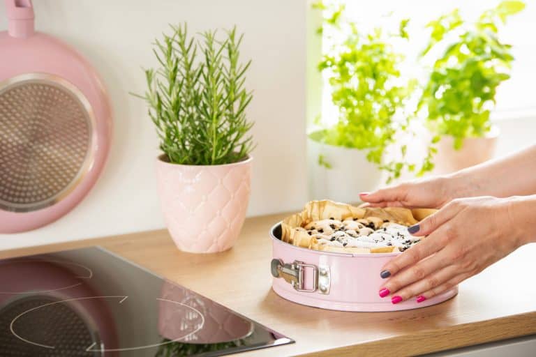 A woman opening a springform pan with delicious cake on it, Springform Pan Won't Open? Here's What To Do