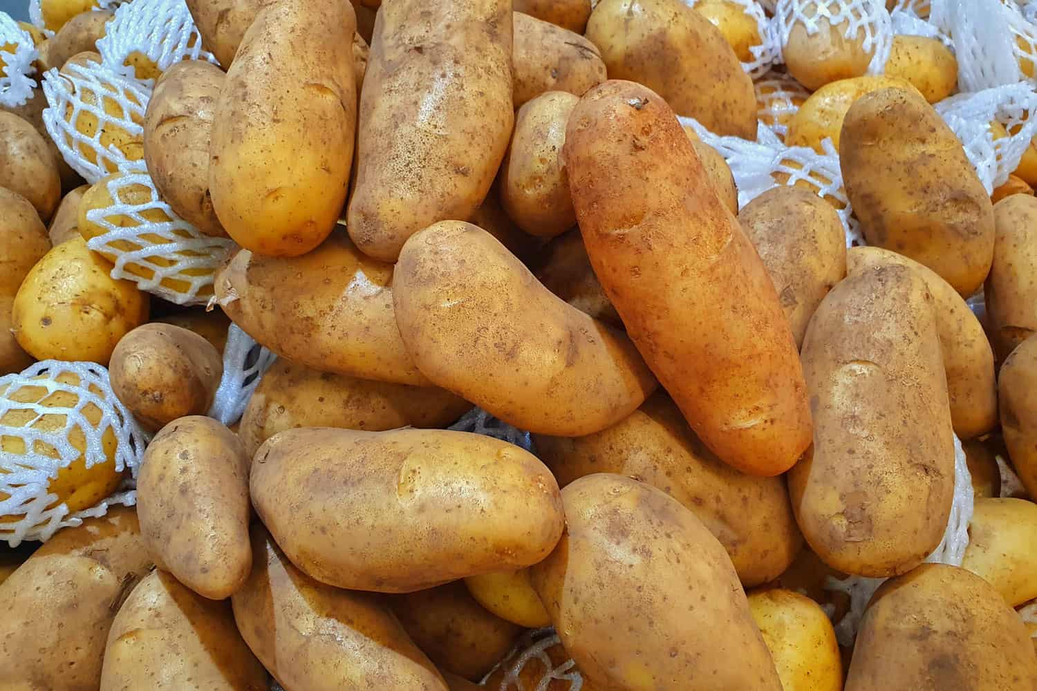 与聚苯乙烯泡沫塑料包装储存土豆