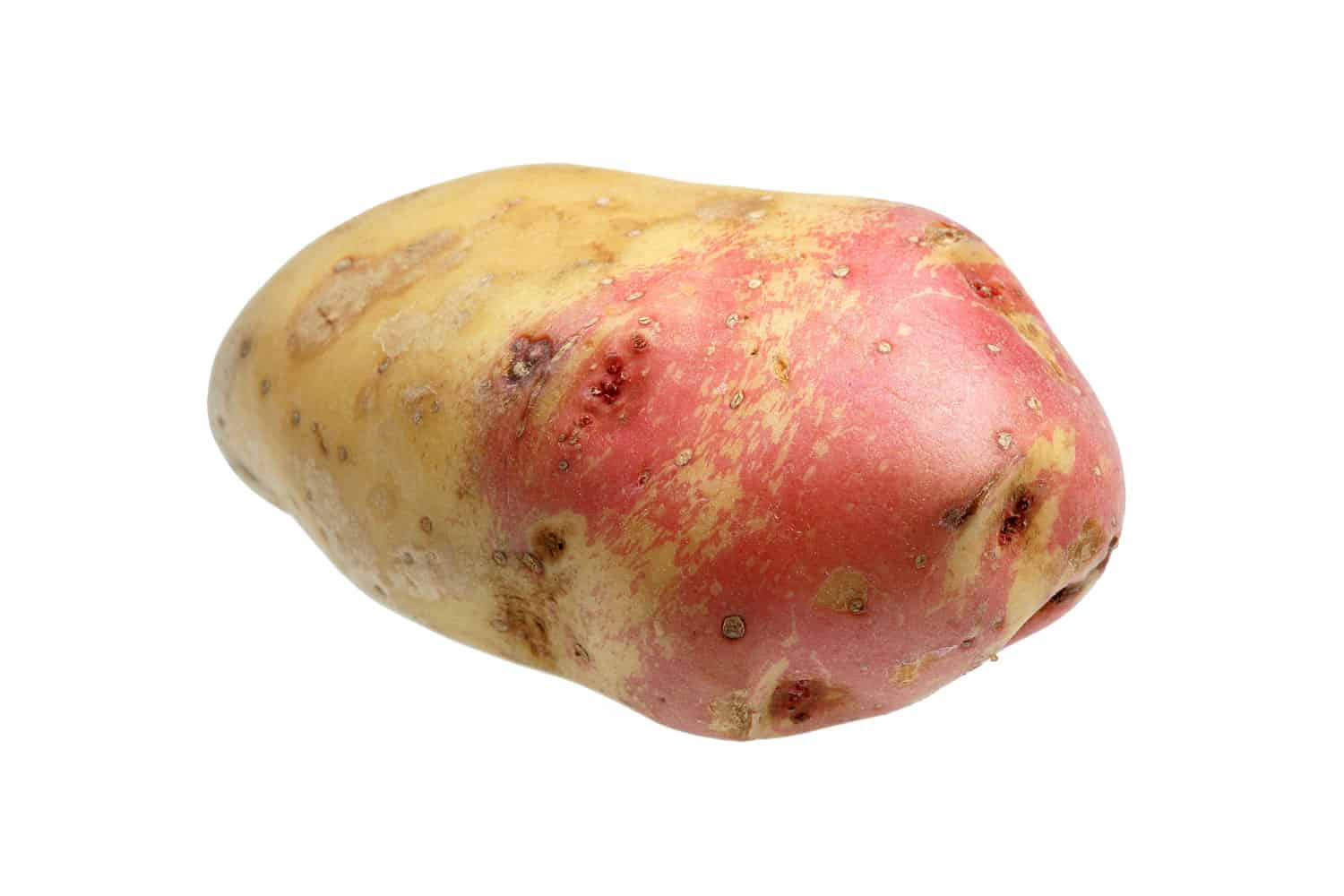 爱德华国王土豆的近距离照片