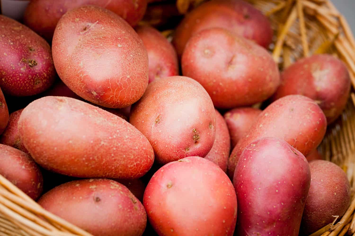 一个近距离和公鸡土豆的详细视图