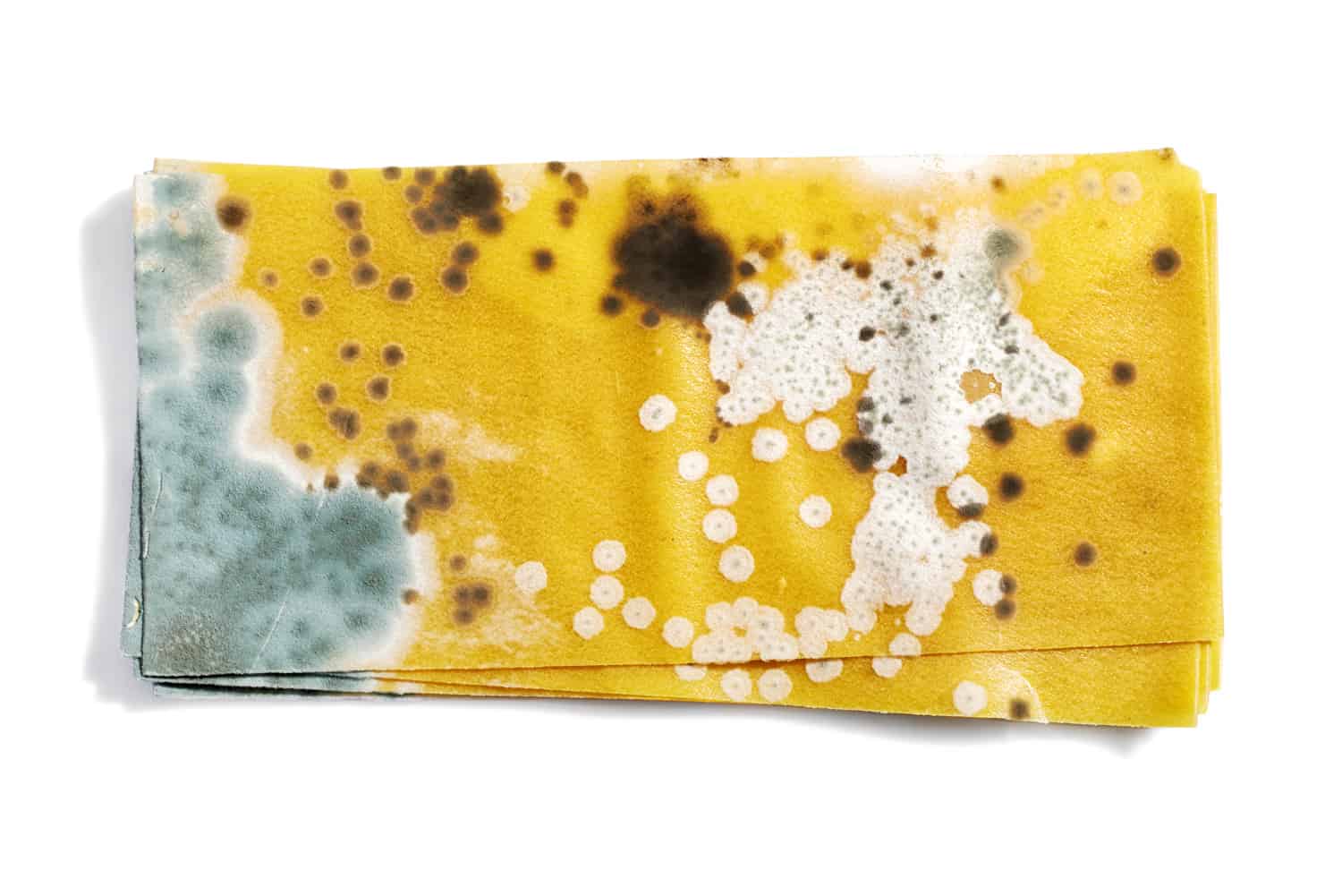 在面条上做千层面。