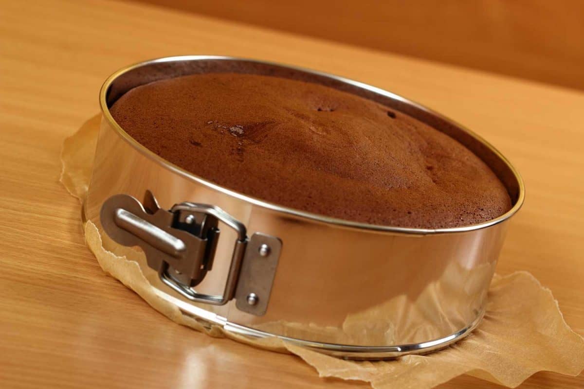 蛋糕烤盘烤蛋糕在春天形式