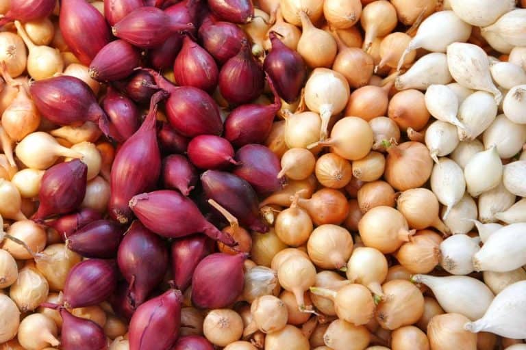 Many multicolored groups of onions divided up by color at the farmers market, What Onion is Best For Soup?