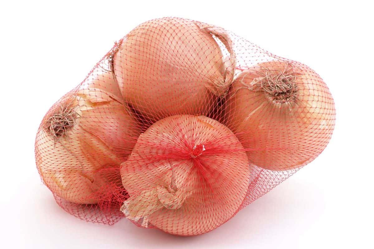 小袋洋葱