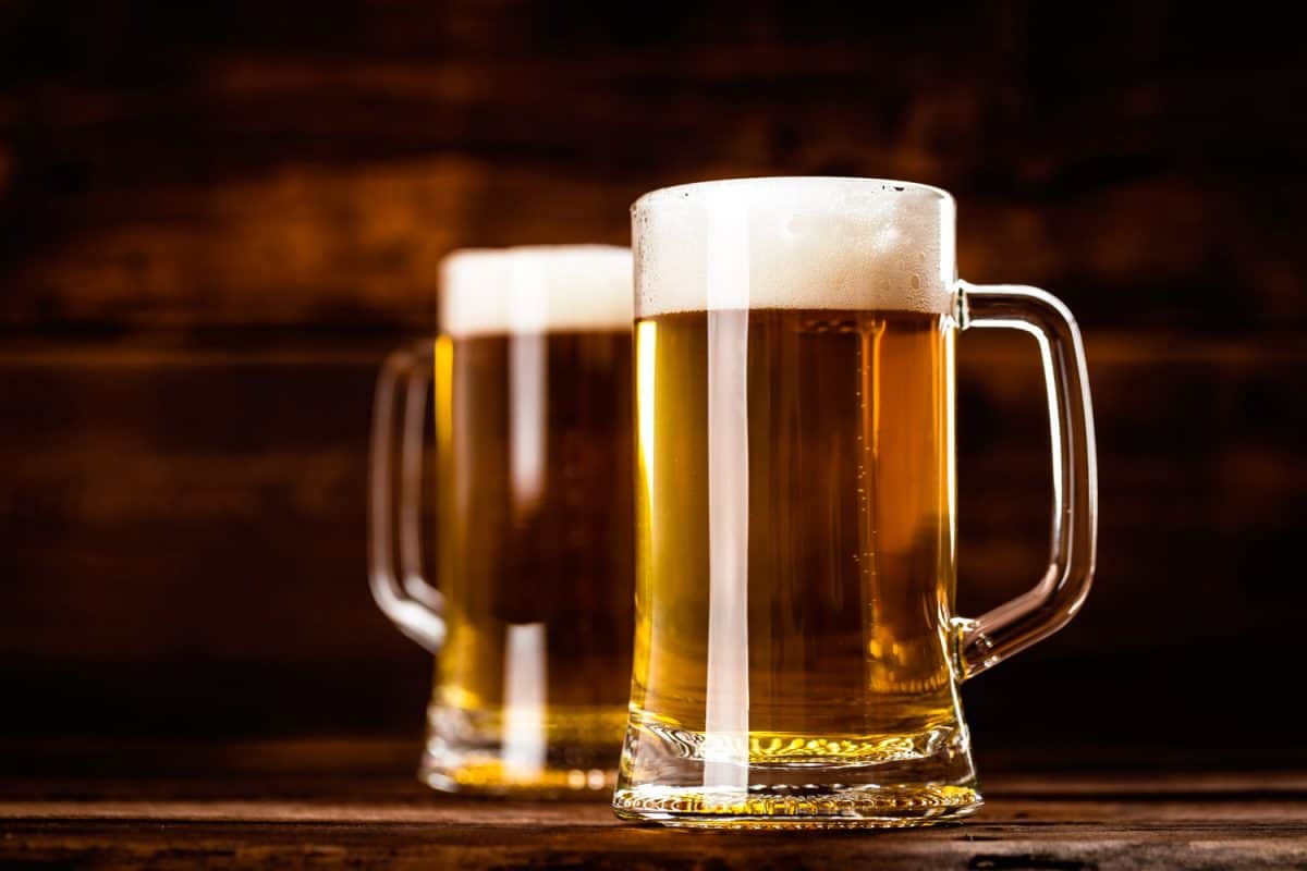 大啤酒杯或杯子