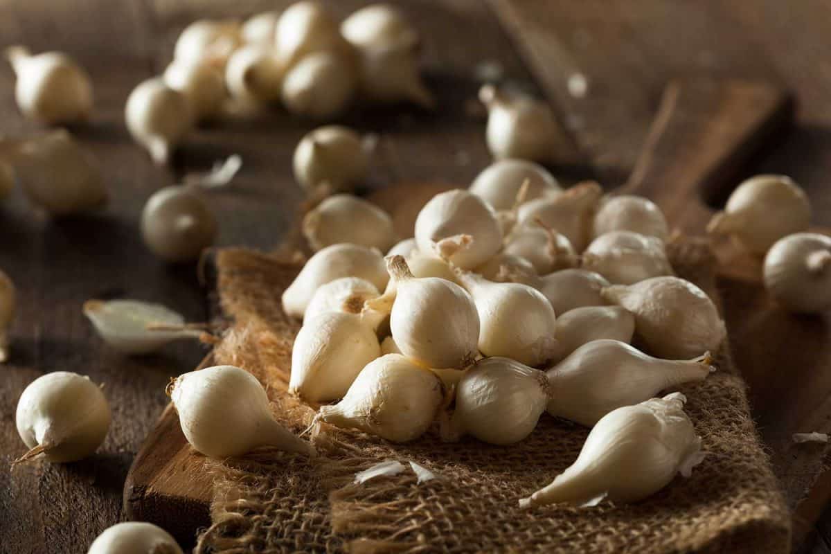 白色背景有机珍珠洋葱