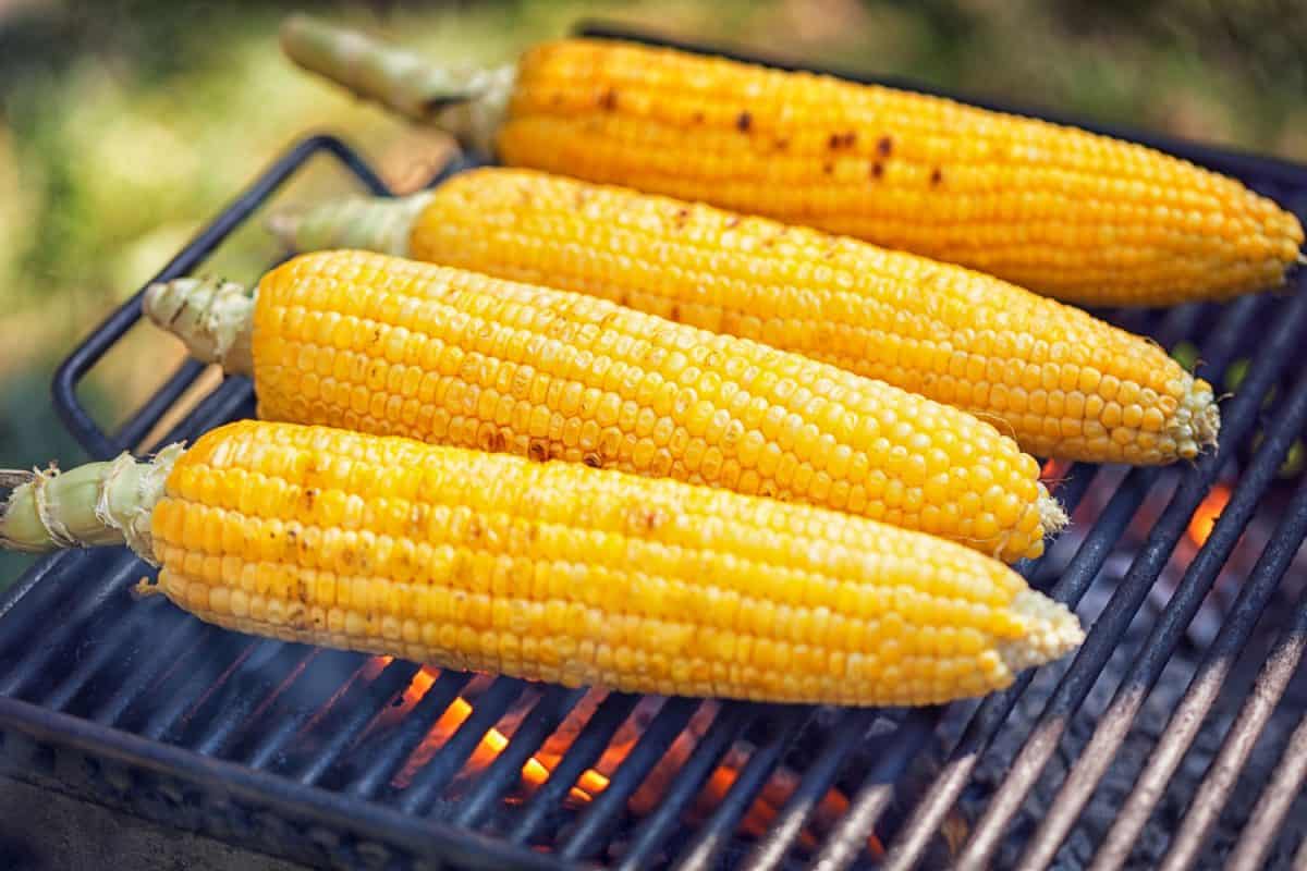 在烤架上烤玉米的露营帐篷