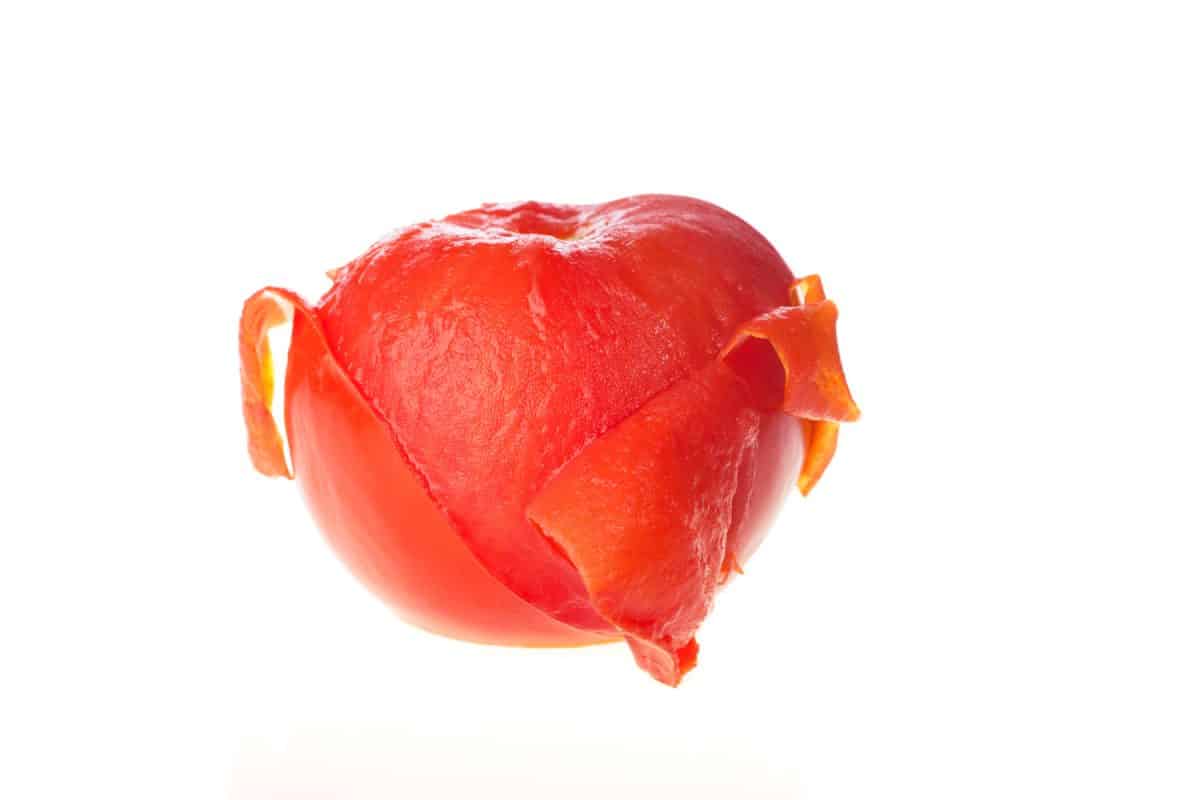 孤立的番茄,煮半剥皮。