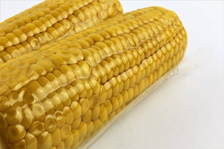 Vacuum sealed fresh corncobs for sous vide cooking cutout on white, close up