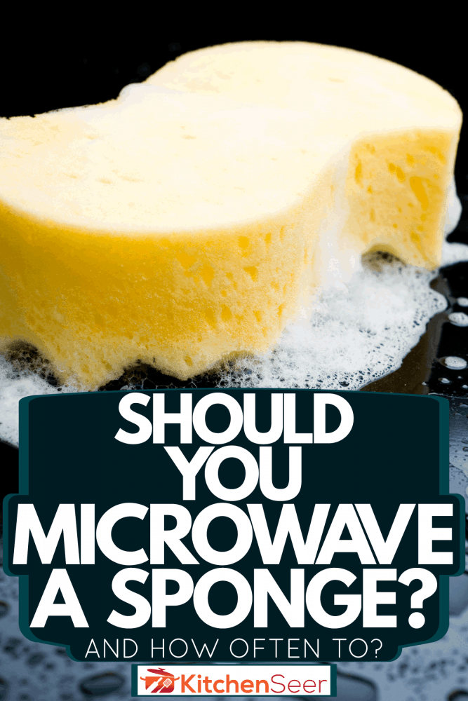 用带气泡的海绵清洗黑色瓷砖，你应该用微波炉加热海绵吗?[以及多久去一次]