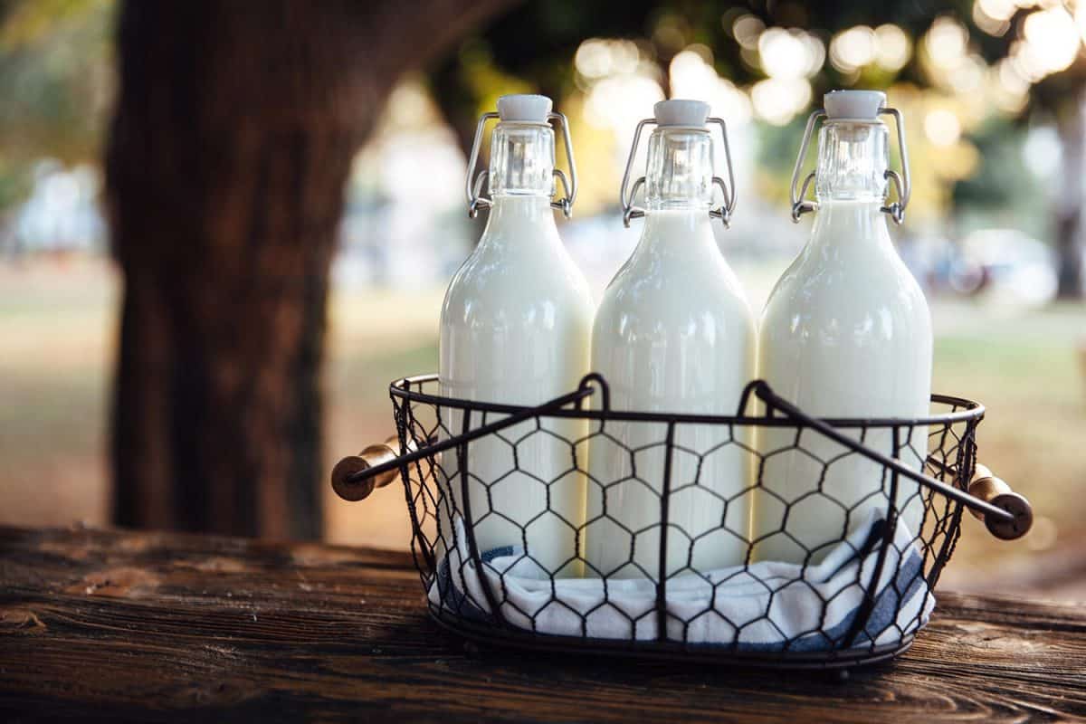 餐桌上牛奶瓶”width=