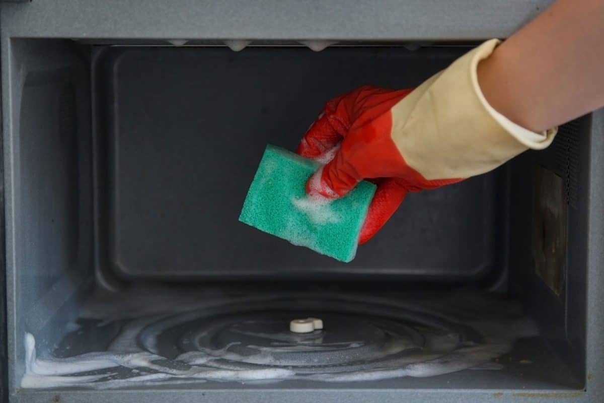 裁剪的观点，妇女的手在橡胶手套清洁微波炉用海绵