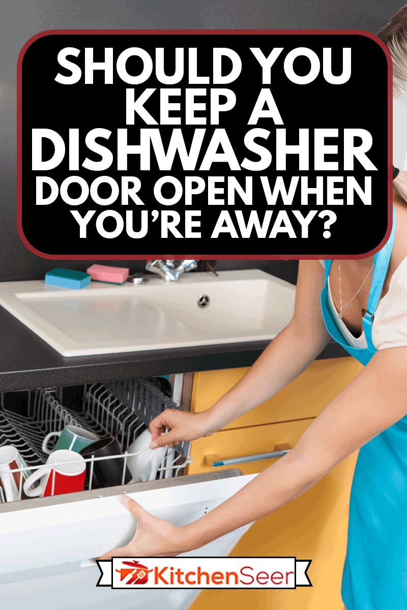 女人在厨房打开洗碗机的门，当你不在的时候，你应该让洗碗机的门开着吗?雷电竞官网网址