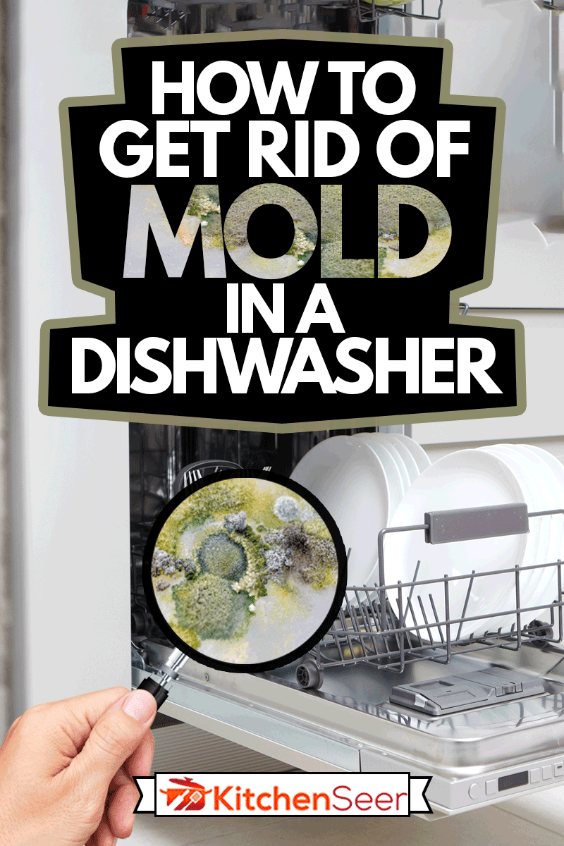 内置在现代厨房洗碗机机放大模具里面,如何摆脱模具洗碗机雷电竞官网网址