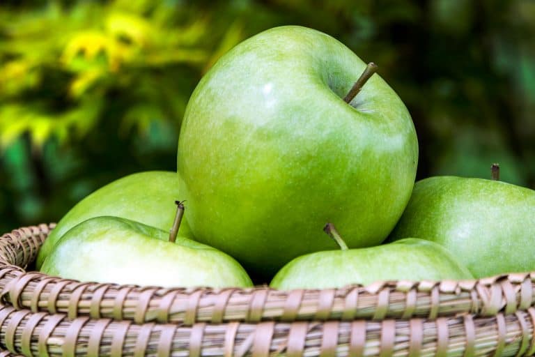 奶奶史密斯苹果的篮子,奶奶史密斯苹果会变红吗?