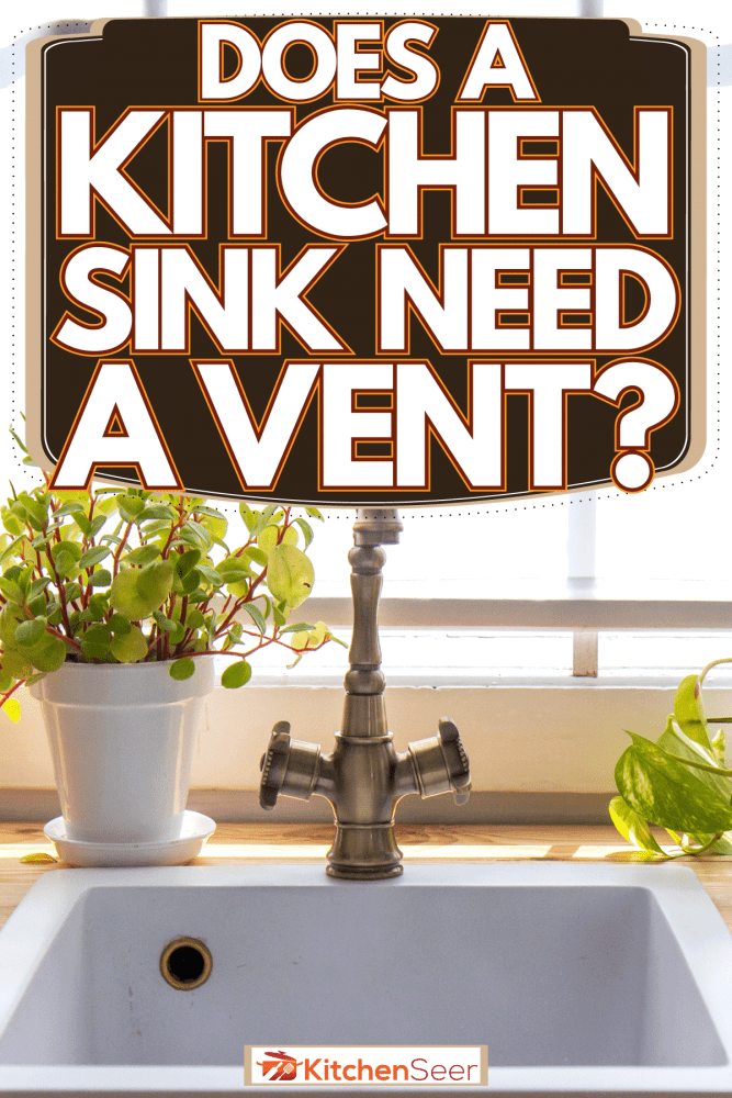 一个小厨房水槽与雷电竞官网网址木质台面装饰植物靠近窗户,厨房水槽需要发泄吗?