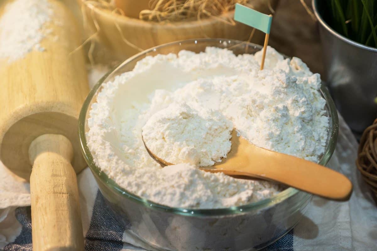 面包粉。中筋面粉面包。