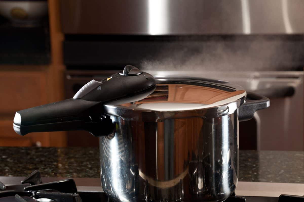 一个不锈钢压力锅