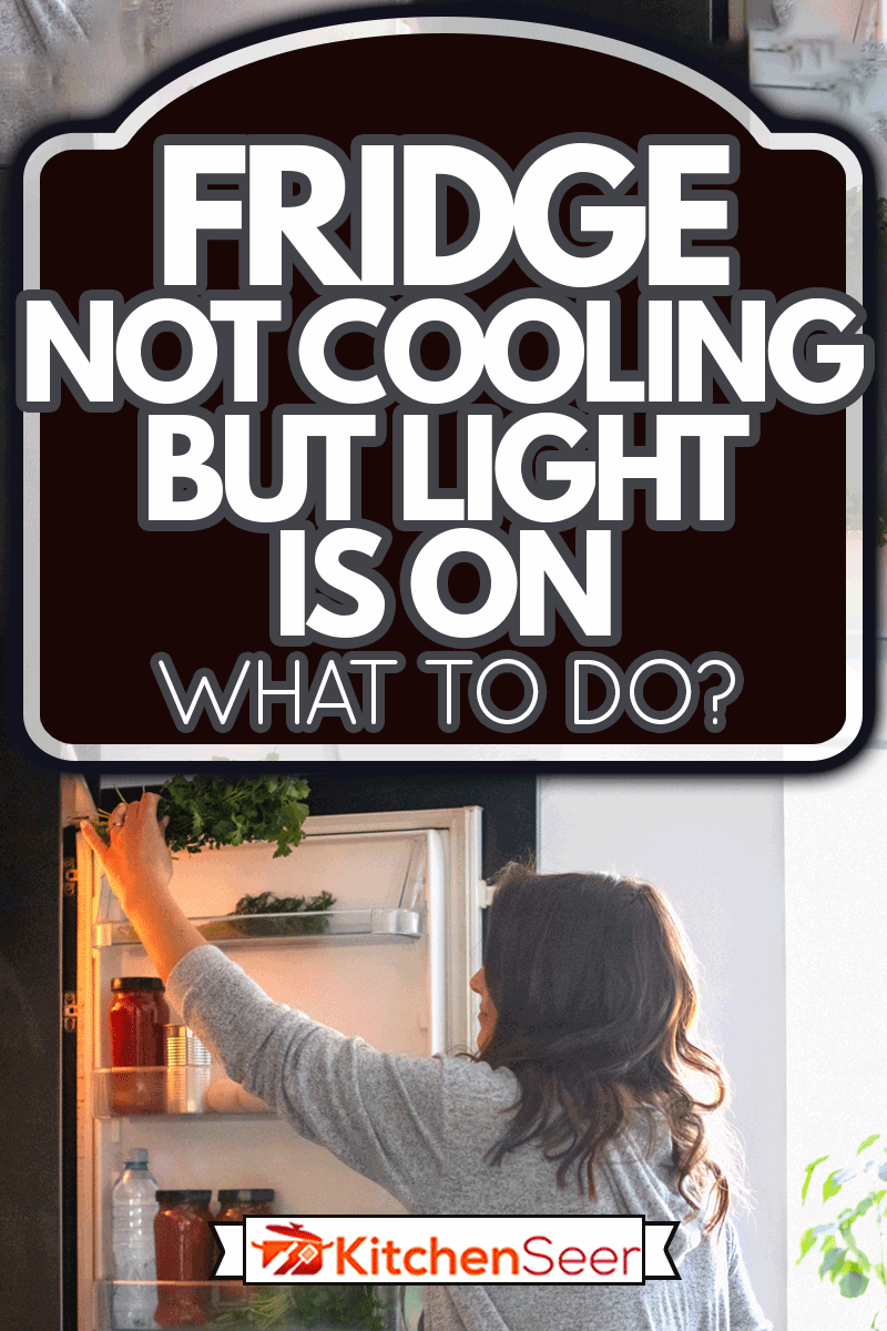 女人拿着冰箱的门,群欧芹,冰箱不制冷但灯亮——要做什么?