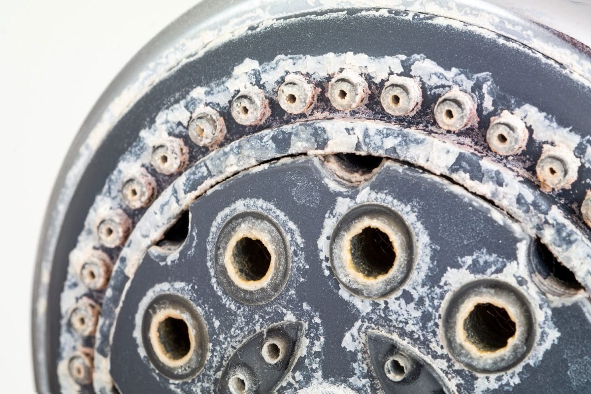 硬水沉积物在淋浴头