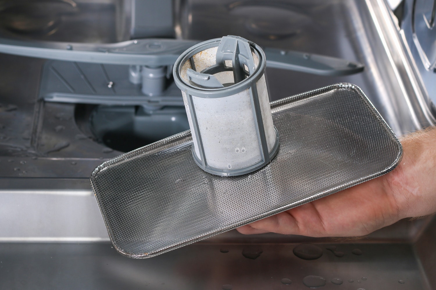 人擅抖着过滤器的清洗洗碗机。