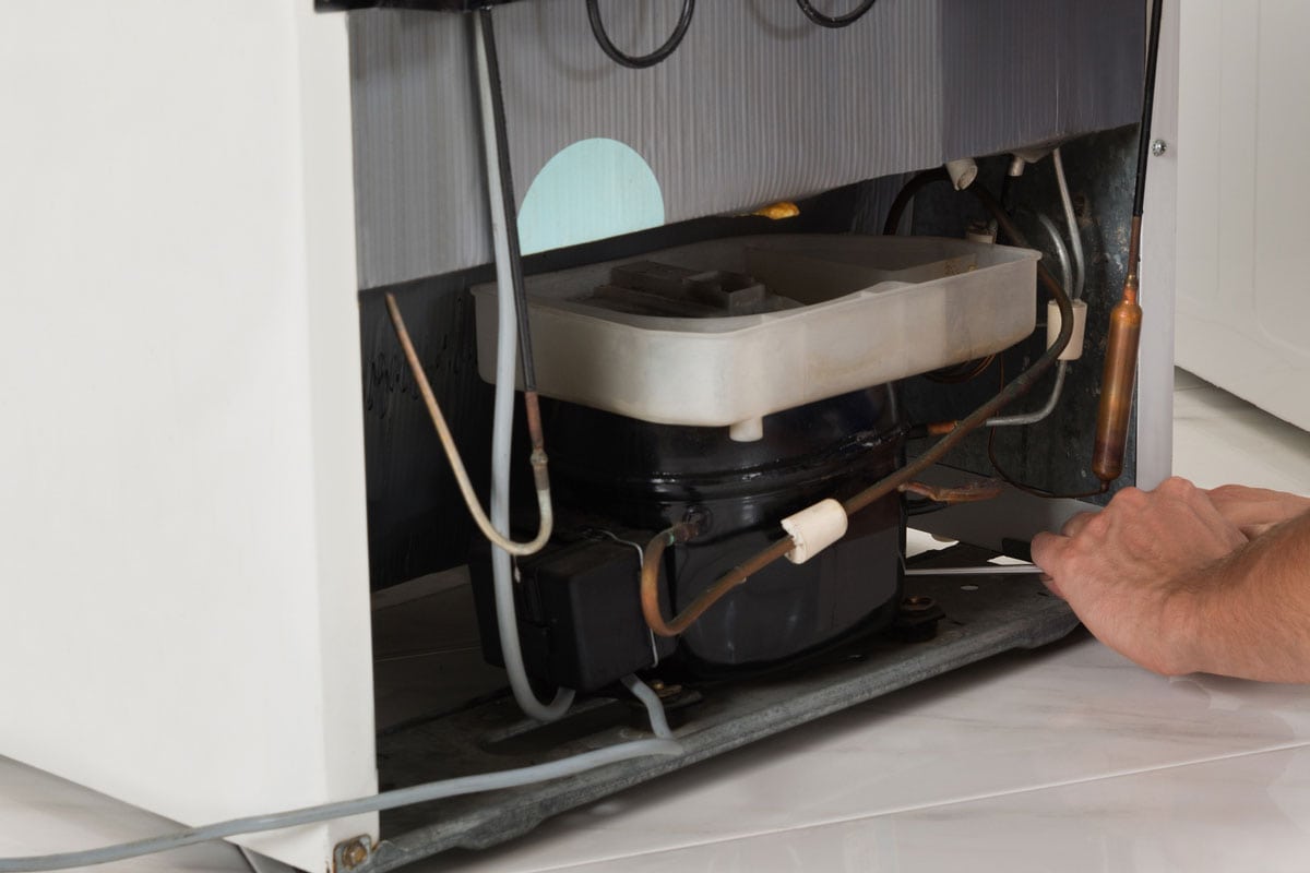 修理工在厨房制造冰箱电器雷电竞官网网址