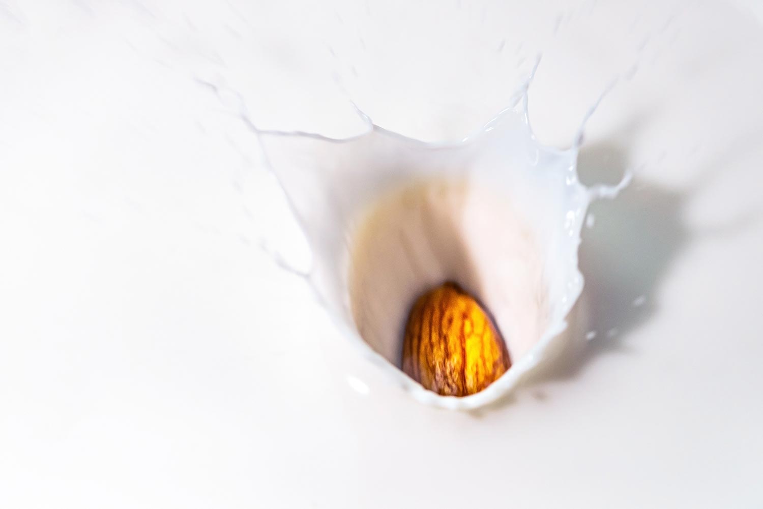 杏仁落入碗杏仁奶