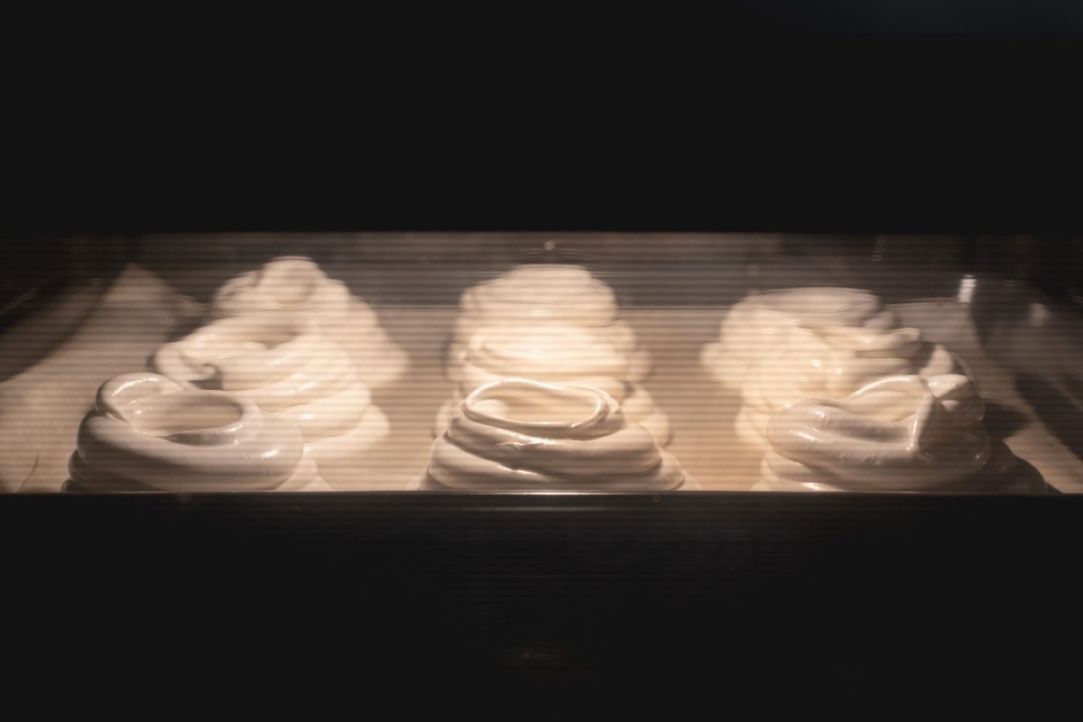 烤箱里烘焙美味酥皮