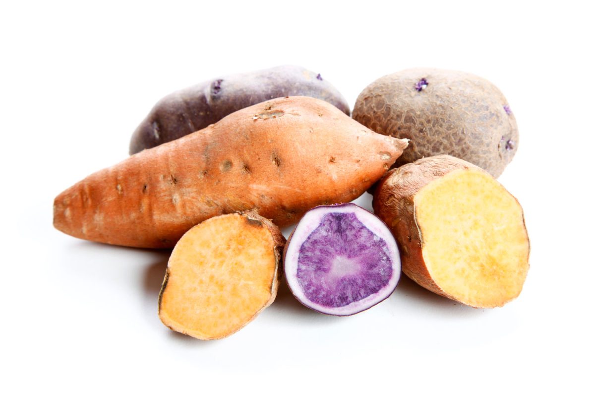 块根作物在白色的背景