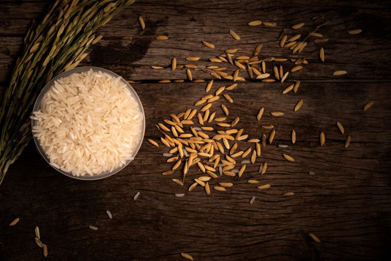 大米杯与水稻稻穗的木制地板上,1/4杯干米饭,煮多少?