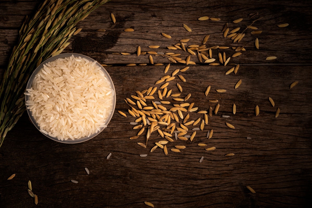 盛在杯子里的大米，铺在木地板上的稻谷和稻穗