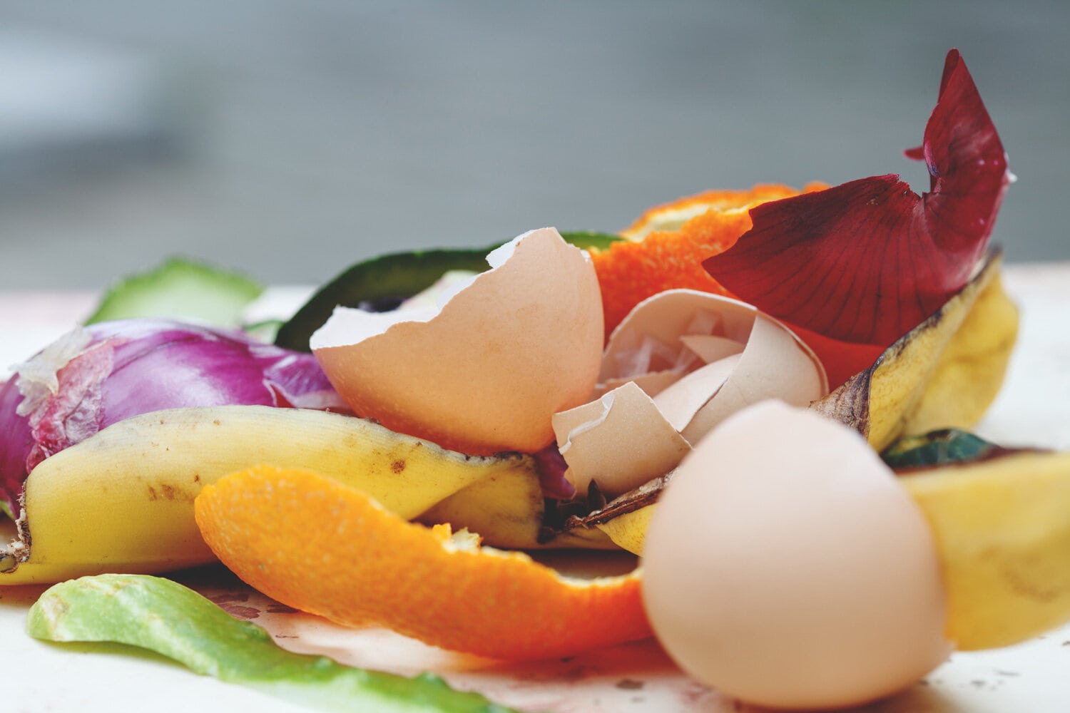 堆有机垃圾，剩菜剩菜准备堆肥，循环利用，生态关怀