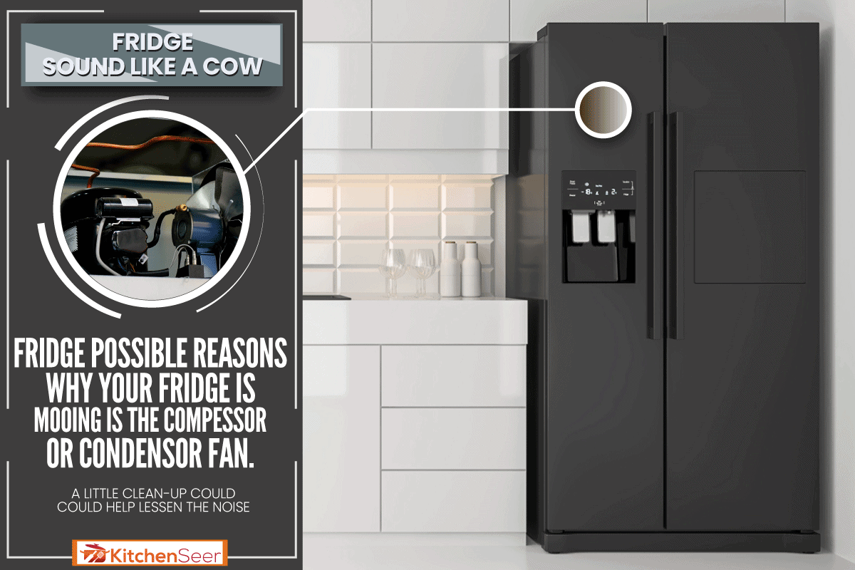 黑色全新冰箱的一个新建的厨房,冰箱为什么我听起来像一头牛吗?雷电竞官网网址