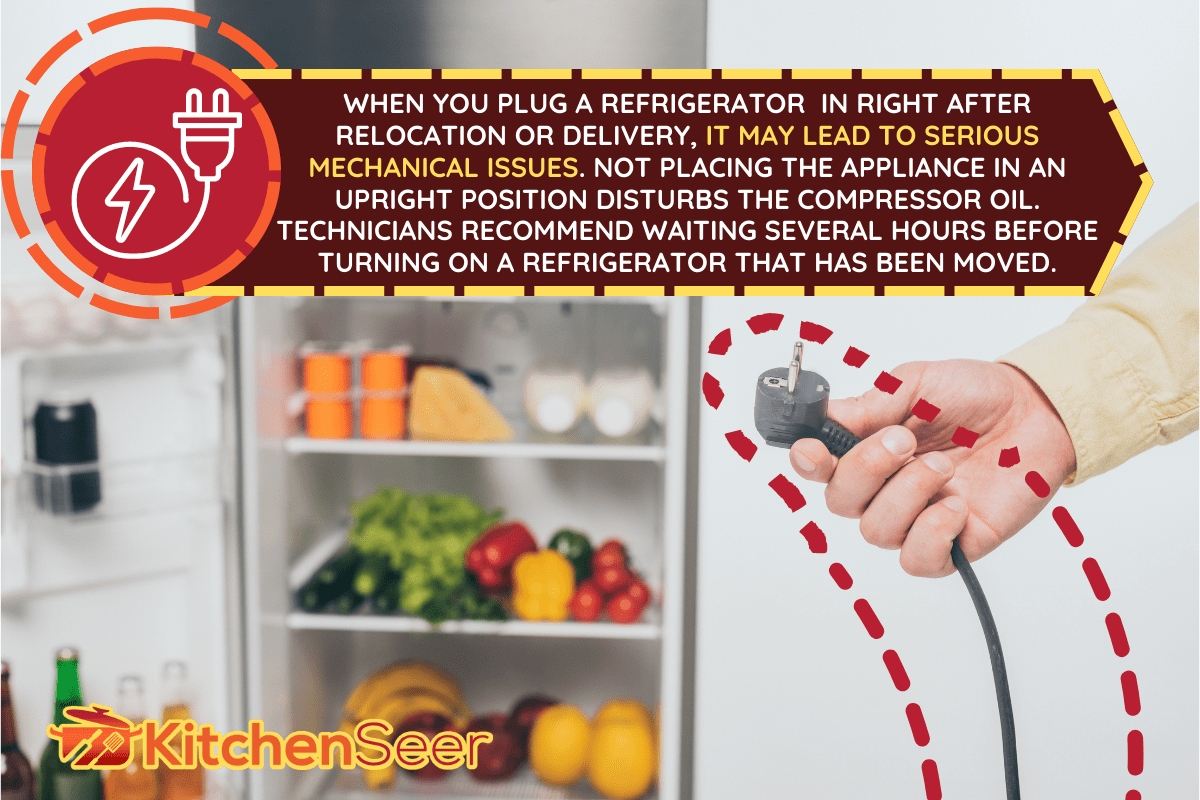 裁剪的人持有不插电的电源线冰箱孤立在白色的。——如果你把冰箱太早?