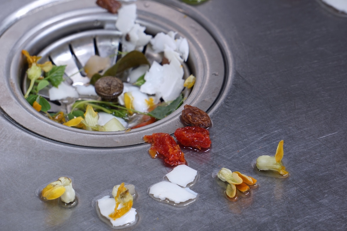 食物浪费的洗涤水槽和垃圾陷阱网格的排水洞,为什么垃圾处置困吗?