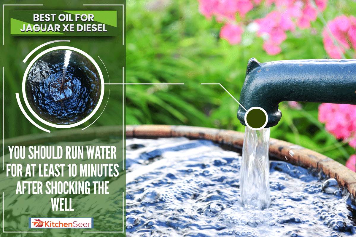 水泵在花园里,多久后运行水令人震惊