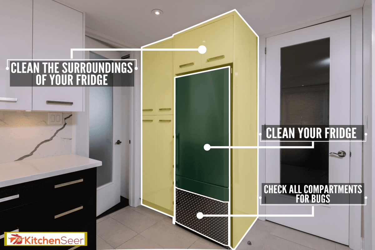 冰箱在现代厨房,小死虫子冰箱吗?雷电竞官网网址这是要做什么