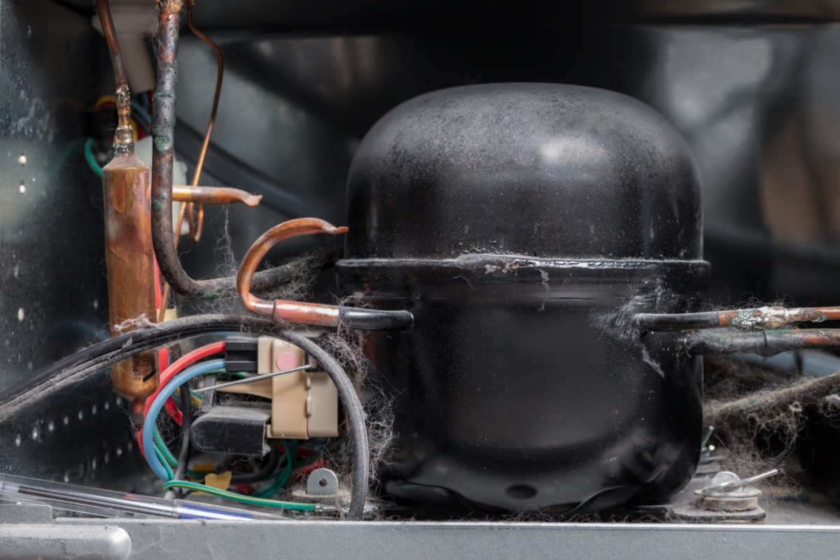 冰箱背后包括腐蚀铜水管、电线和灰尘和宠物的头发,要花多少钱来取代一个冰箱压缩机