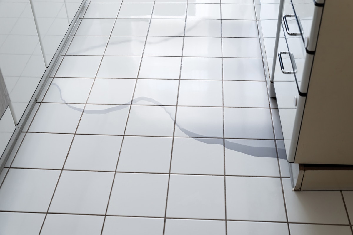 洗碗机坏了，厨房地板进水了雷电竞官网网址