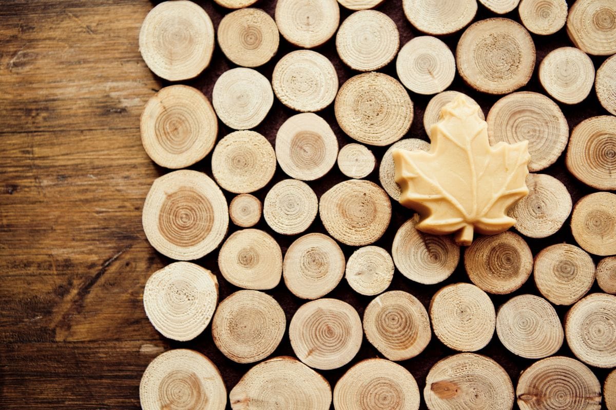 枫木制品:乡村背景上的枫糖。