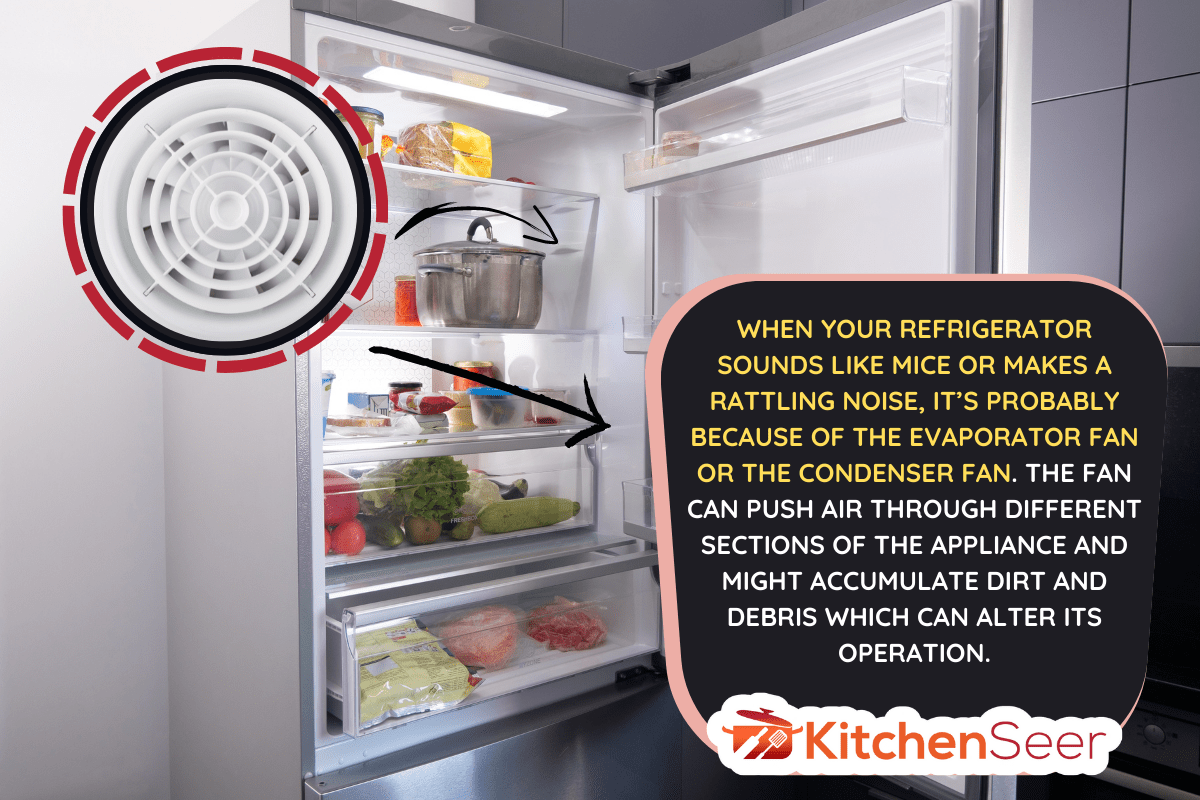 打开冰箱装满了新鲜水果和蔬菜。-冰箱里听起来像老鼠来做什么?