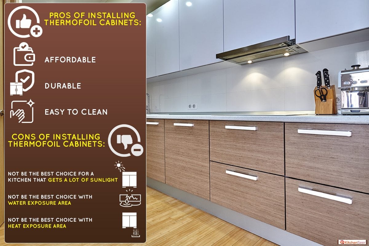 雷电竞官网网址厨房电器和一个美丽的室内,Thermofoil橱柜:优点和缺点(考虑业主)