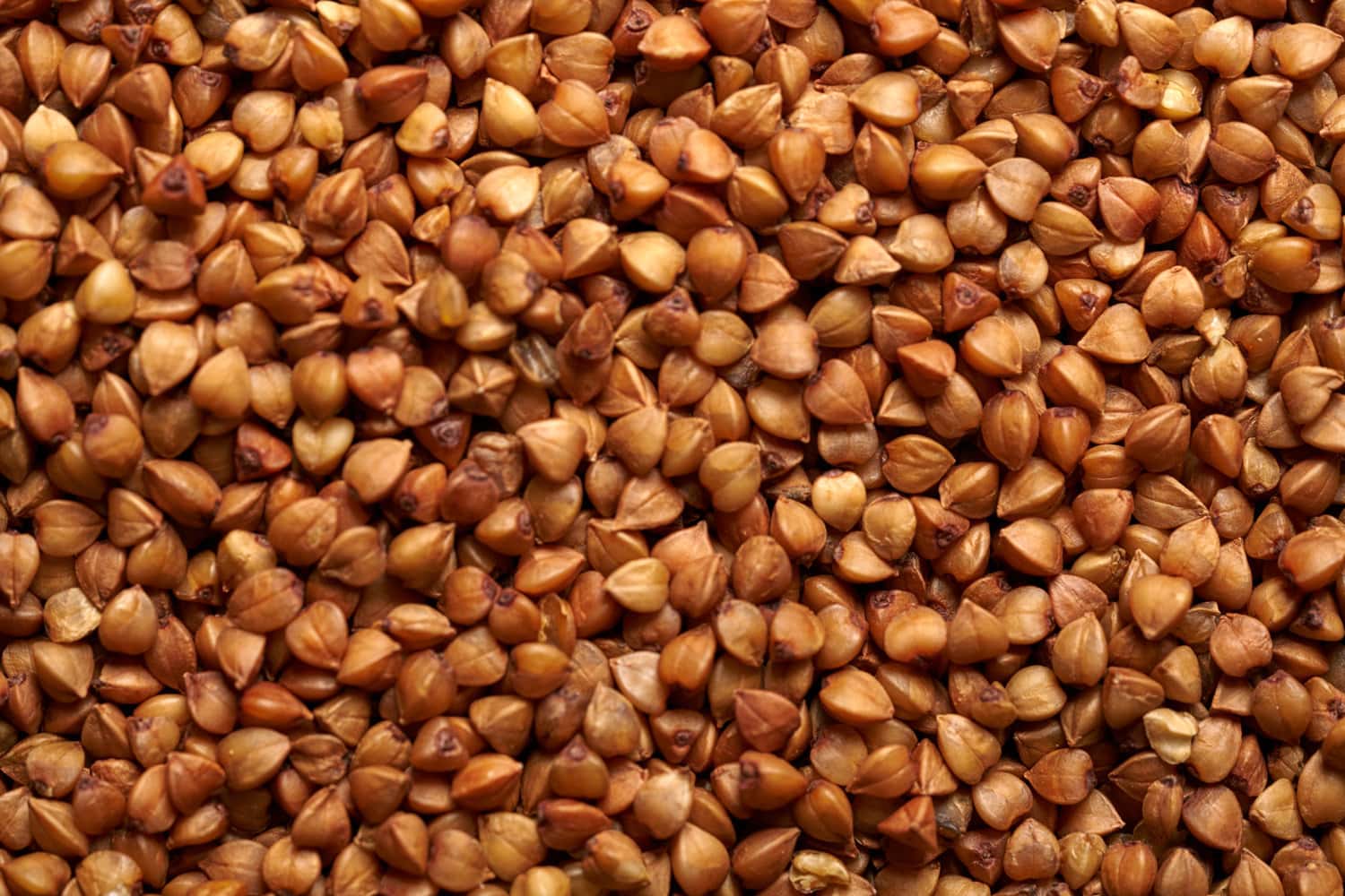 荞麦纹理背景。自然食品健康有好处,素食。高质量的照片