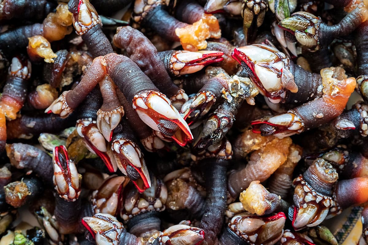 非常美味的海鲜