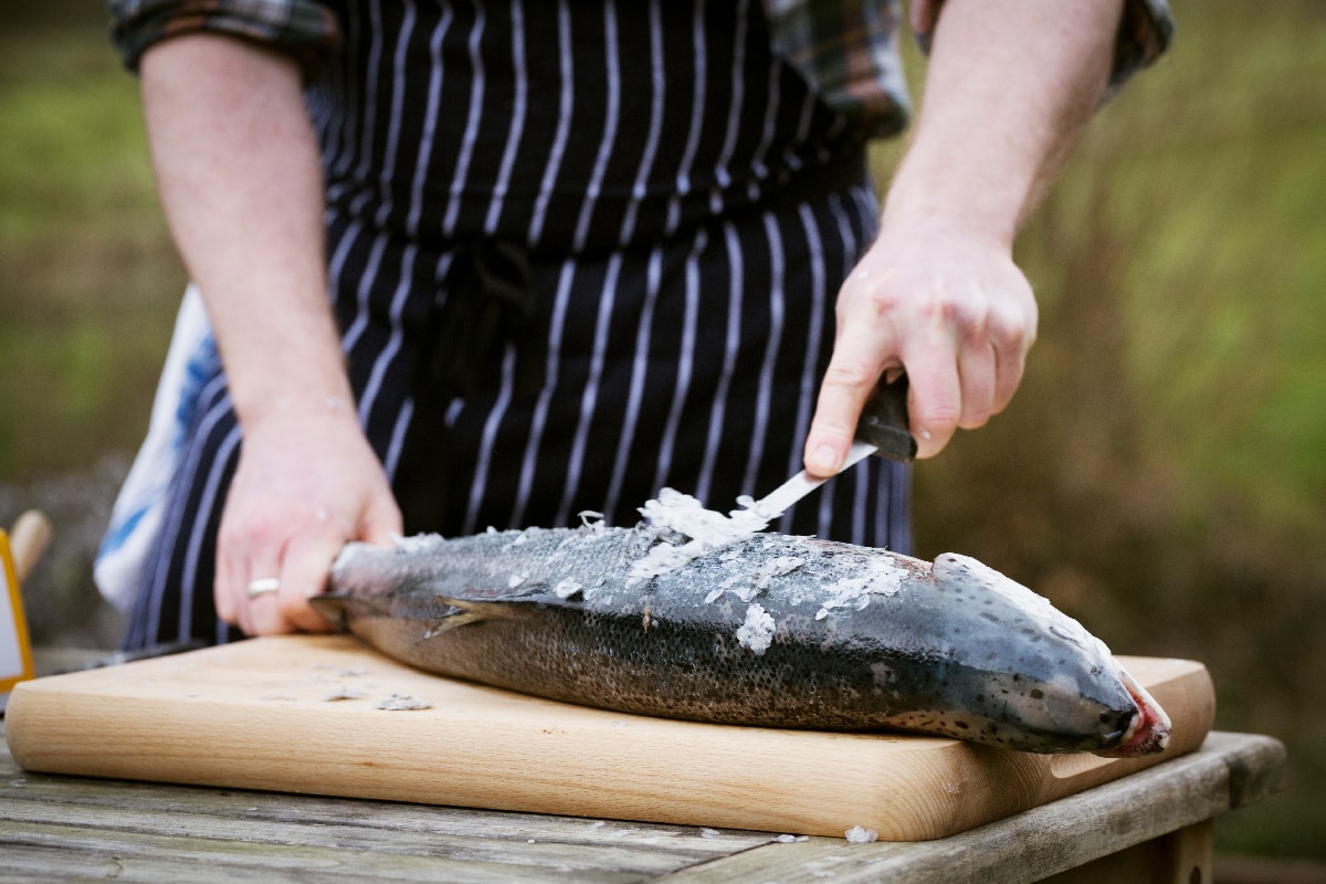 厨师扩展一个新鲜的鱼
