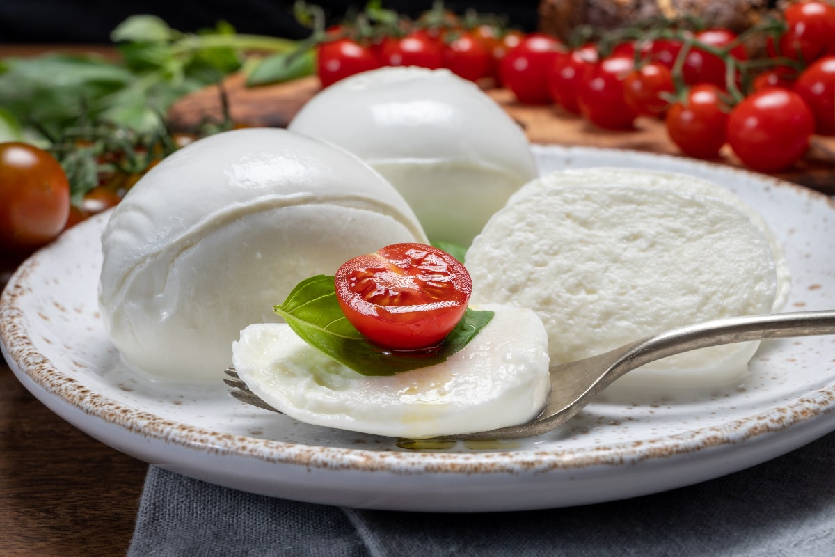 水牛马苏里拉奶酪