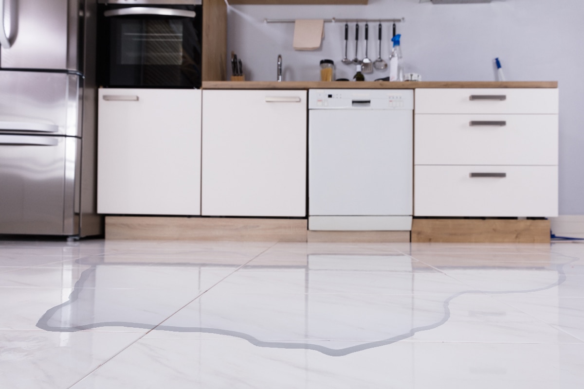 把水洒在家里厨房的地板上雷电竞官网网址