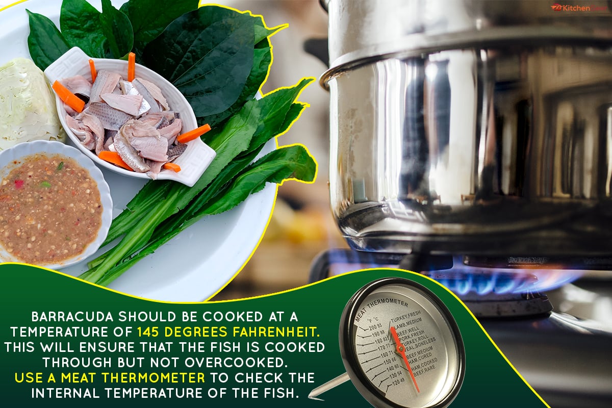 生梭鱼角与辣椒酱,辛辣的味道,你应该做饭carracuda什么温度